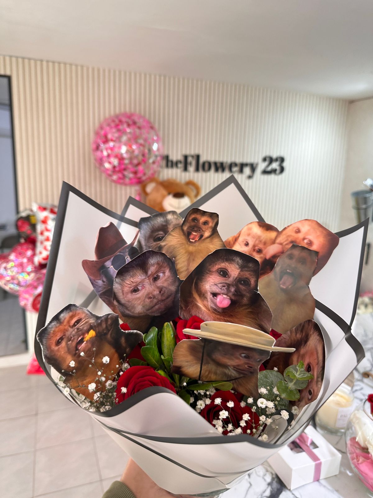 Monkeys