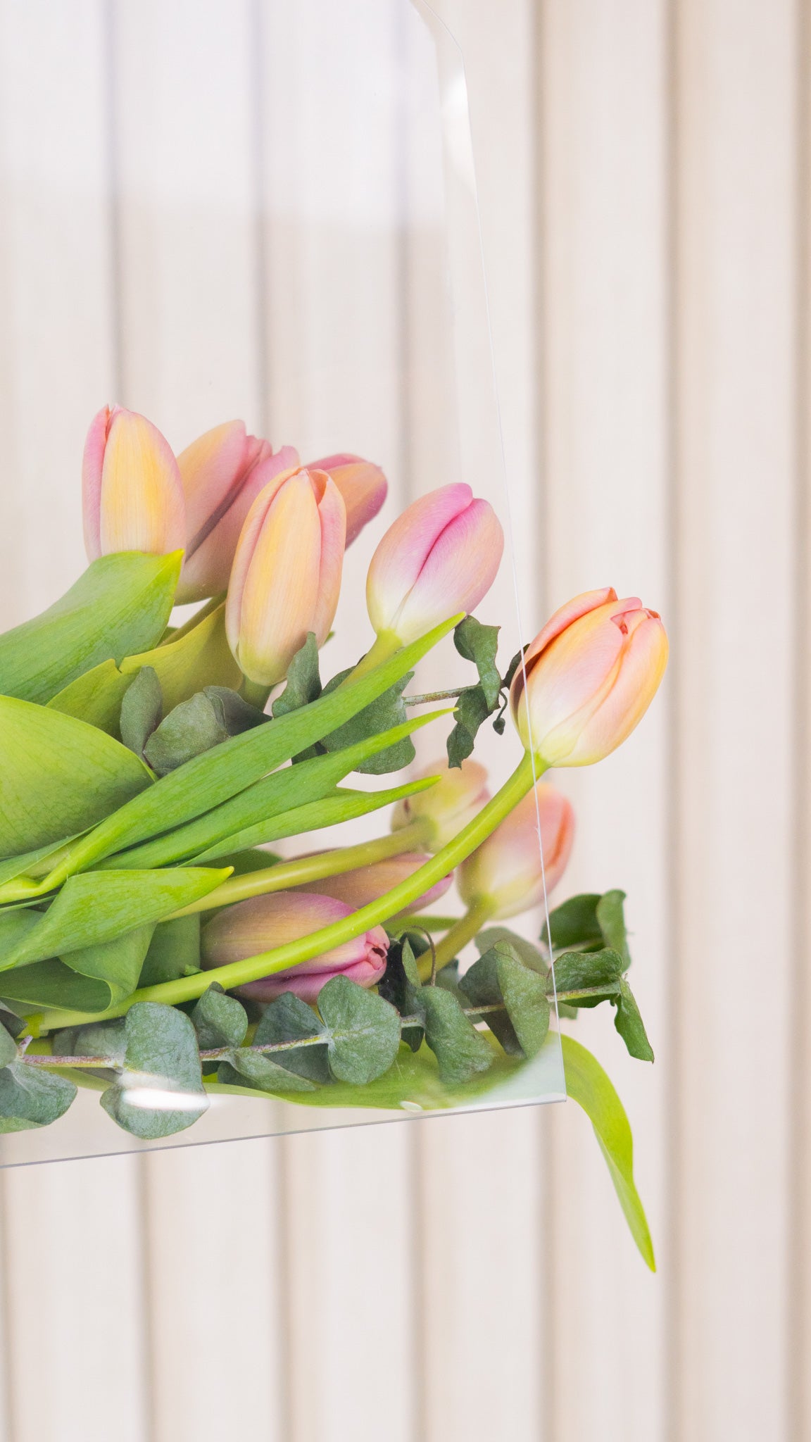Bolsa de Tulipanes